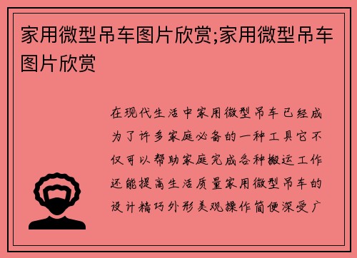 家用微型吊车图片欣赏;家用微型吊车图片欣赏